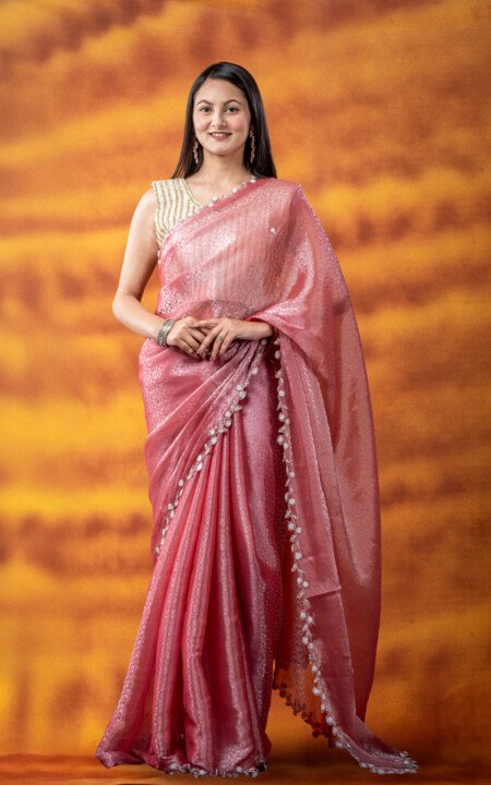 Jimmy Choo Handwork Saree