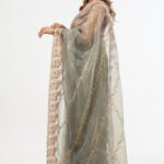 Elegant Designer Net Saree with Embroidery Work