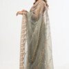 DESIGNER NET SAREES