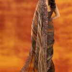 Soft Burberry Prism Print Jimmy Choo Saree