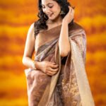 Bourbon Bliss Organza Saree