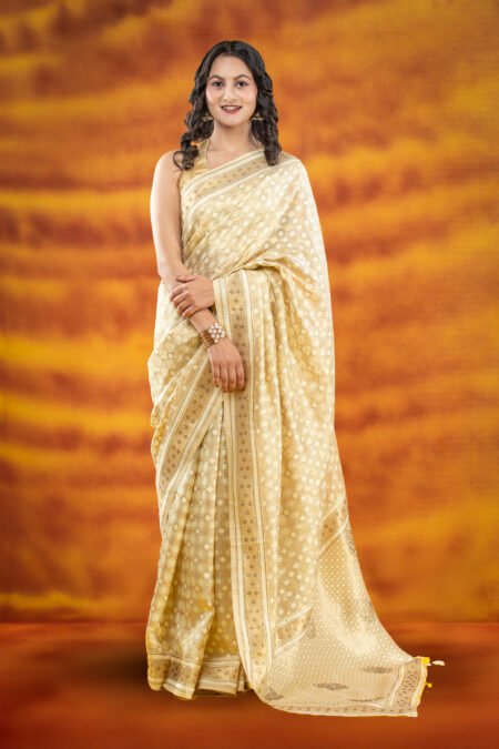 Sun Rise Chanderi Silk Saree