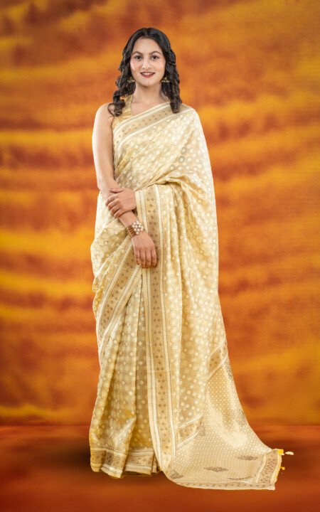 Sun Rise Chanderi Silk Saree