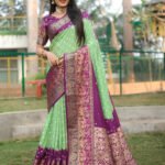Bandhej Bliss Banarasi Silk Saree